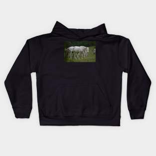 Wild Horse Kids Hoodie